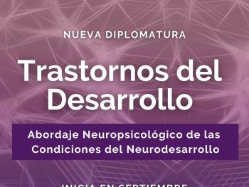 NUEVA DIPLOMATURA